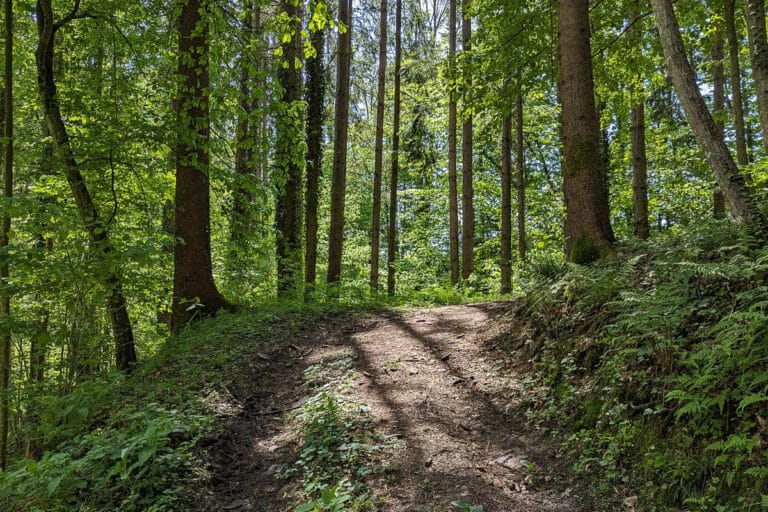 Mariazeller Weg